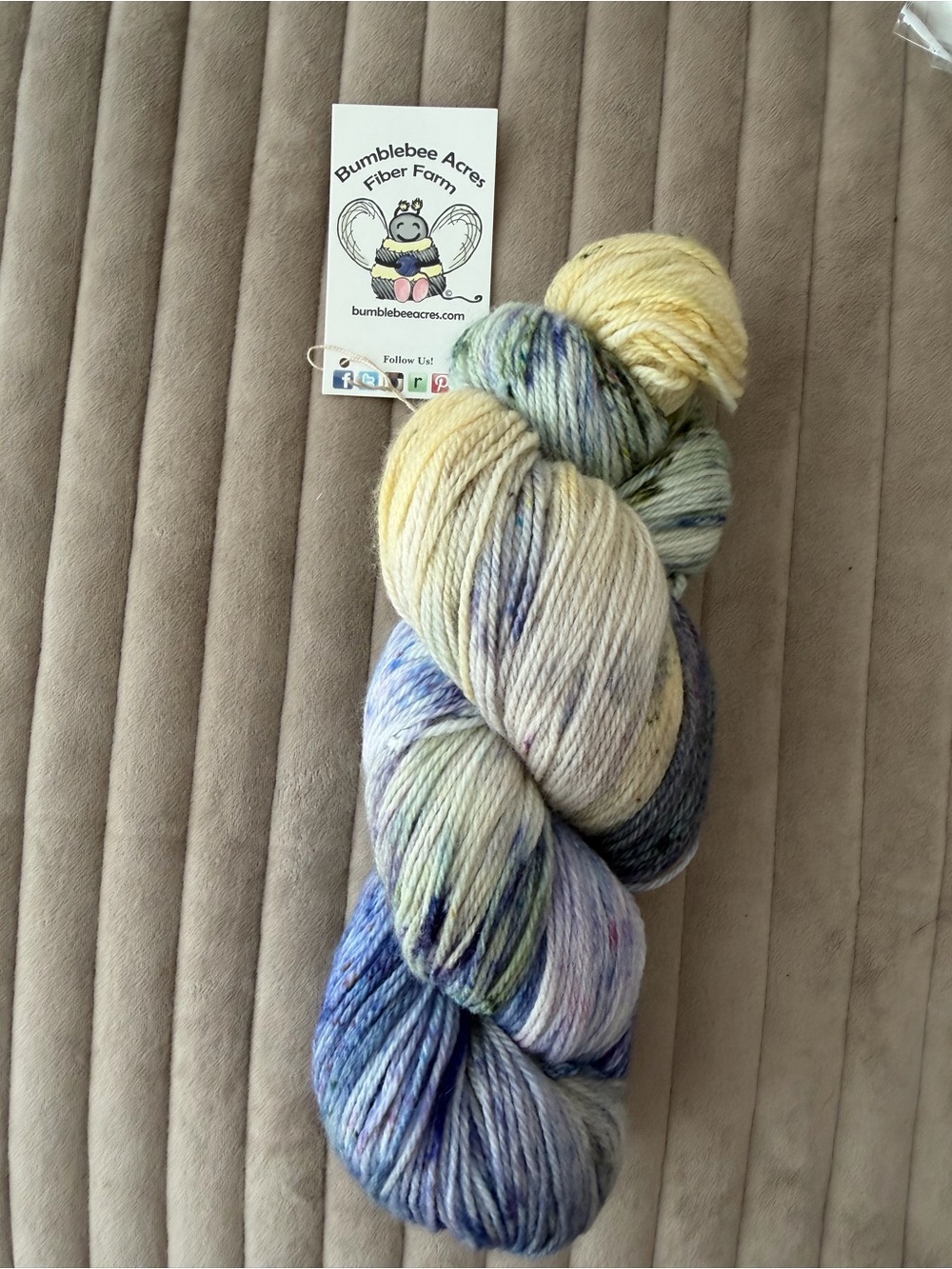 Bumblebee Acres Hand-Dyed Yarn - Yellow & Blue Blend